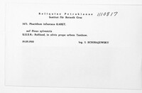 Gremmenia infestans image